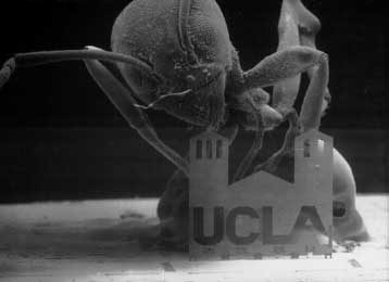 Ένα βήμα πιο κοντά φέρνει τους μοριακούς υπολογιστές η Hewlett-Packard