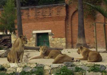 Με τον πλέον τραγικό τρόπο έβαλε τέλος στη ζωή του ένας 61χρονος Πορτογάλος