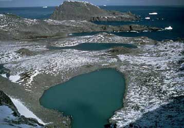 Δραματικές οι επιπτώσεις των κλιματικών αλλαγών σε οικοσυστήματα της Ανταρκτικής