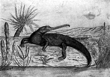 Κοντά στη λύση του το μυστήριο του «Μεγάλου Θανατικού» στη Γη πριν από 250 εκ. χρόνια