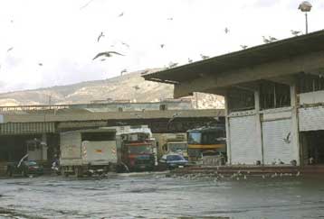 Τριάντα τόνοι βοδινού κατασχέθηκαν στην κρεαταγορά του Ρέντη