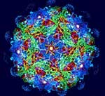 Φόβοι για βιοτρομοκρατική επίθεση στην κτηνοτροφία των ΗΠΑ