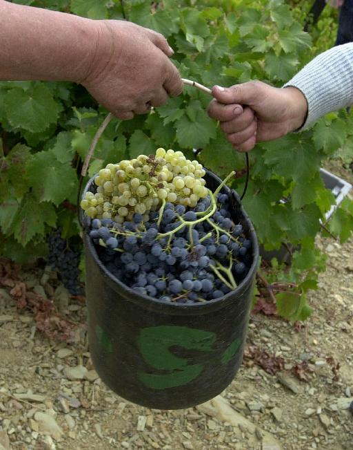 Φυσικό συστατικό «σύμμαχος» στην πρόληψη του καρκίνου