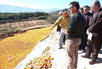 Μόνιμο το έλλειμμα στο ελληνικό εμπορικό ισοζύγιο αγροτικών προϊόντων