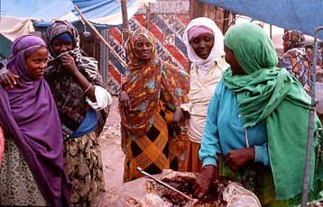 Συναυλία του Γιάννη Μαρκόπουλου στο Μέγαρο Μουσικής Αθηνών για τις γυναίκες πρόσφυγες