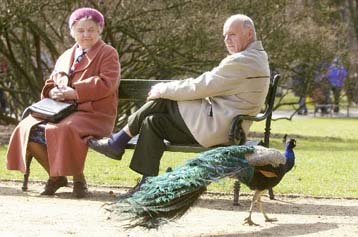 Το 2050 οι ηλικιωμένοι θα είναι περισσότεροι από τα παιδιά, προειδοποιεί ο ΟΗΕ