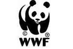 WWF: «Δικτυωθείτε» για τη σωτηρία των θαλασσών