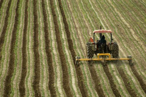Έκθεση της ΕΕ: Γενετικά τροποποιημένα φυτά μπορούν να «μολύνουν» τις οργανικές καλλιέργειες