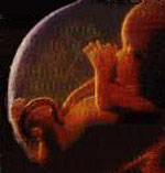 Ανησυχητική αύξηση των συγγενών ανωμαλιών επισημαίνουν Βρετανοί επιστήμονες