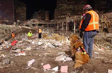 Μοναδικές φωτογραφίες από το ground zero παρουσιάζονται στο Μουσείο του Λονδίνου