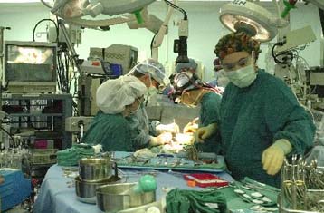 Γιατροί στη Σαουδική Αραβία πραγματοποίησαν την πρώτη μεταμόσχευση μήτρας