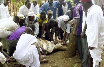 Αυξήθηκε η ελληνική αναπτυξιακή βοήθεια το 2000, σύμφωνα με τον ΟΟΣΑ