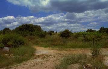 Νεκροί ανασύρθηκαν δύο λαθρομετανάστες από ναρκοπέδιο στον Έβρο