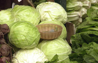 «Καμπανάκι» από ΙΝΚΑ: Κίνδυνοι από την αλόγιστη χρήση φυτοφαρμάκων