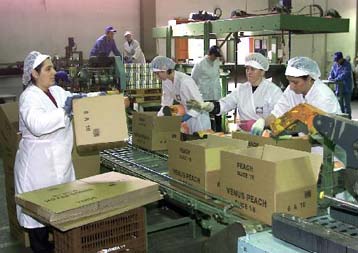 Σε αναπτυξιακή τροχιά συνεχίζει να βρίσκεται ο μεταποιητικός τομέας στην Ελλάδα