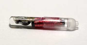 Στην εμφύτευση τσιπ με προσωπικά και ιατρικά στοιχεία προχωρά αμερικανική εταιρεία