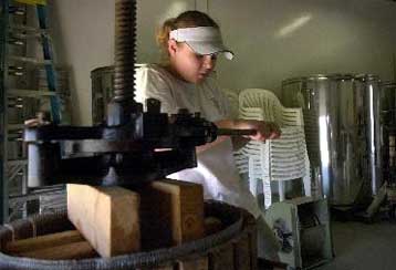 Υποχώρησε στο 10,5% η ανεργία το 2001, σύμφωνα με τα τελικά στοιχεία της ΕΣΥΕ