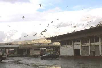 Μέτρα για την αναβάθμιση της κρεαταγοράς του Ρέντη προτείνει η επιτροπή του ΥΠΑΝ