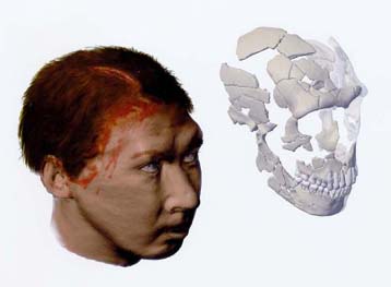 Η βία, έστω και περιορισμένη, ήταν παρούσα την εποχή των Ανθρώπων του Νεάτερνταλ