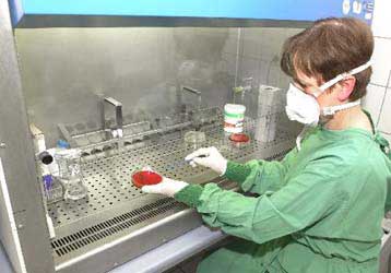 Σε ύφεση η «επιδημία» μυοπερικαρδίτιδας – Καθησυχάζουν οι επιστήμονες