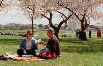 Νέο χάπι έρχεται να βελτιώσει την σεξουαλική αντοχή των ανδρών