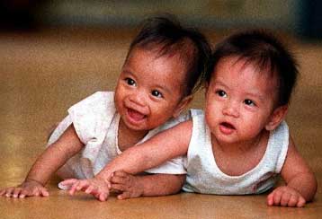 Παιδιά του νότου τα αγόρια, παιδιά του βορρά τα κορίτσια, αλλά όχι παντού