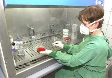 Απομονώθηκε και ταυτοποιήθηκε ο Coxsackie Β, ανακοίνωσε το Ιατρικό Τμήμα του ΑΠΘ