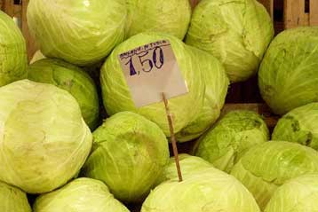 Ανεξέλεγκτη η κυκλοφορία 12 επικίνδυνων φυτοφαρμάκων, απαγορευμένων από το 1975