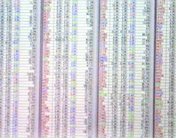 Ανοδικές τάσεις στο ΧΑΑ την Πέμπτη – Πάνω από τις 2.350 ο γενικός δείκτης