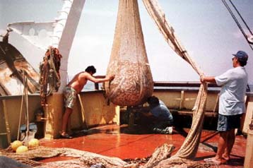 Πάνω από 30.000 θέσεις εργασίας θα χαθούν από την αλλαγή της πολιτικής αλιείας της ΕΕ