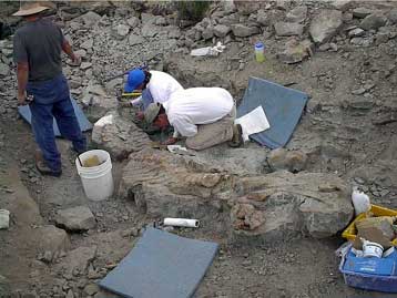 Νέος αρχαιολογικός χώρος ανοίγει για το κοινό στη Θεσσαλονίκη από 1η Ιουνίου