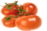 Γενετικά τροποποιημένη ντομάτα με αντικαρκινικές ιδιότητες