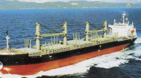 Μειώνονται οι μικρές ελληνικές πλοιοκτήτριες εταιρείες, σύμφωνα με την Petrofin