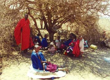 Οι Μασάι δωρίζουν στις ΗΠΑ 14 αγελάδες, ως συμπαράσταση για την 11η Σεπτεμβρίου