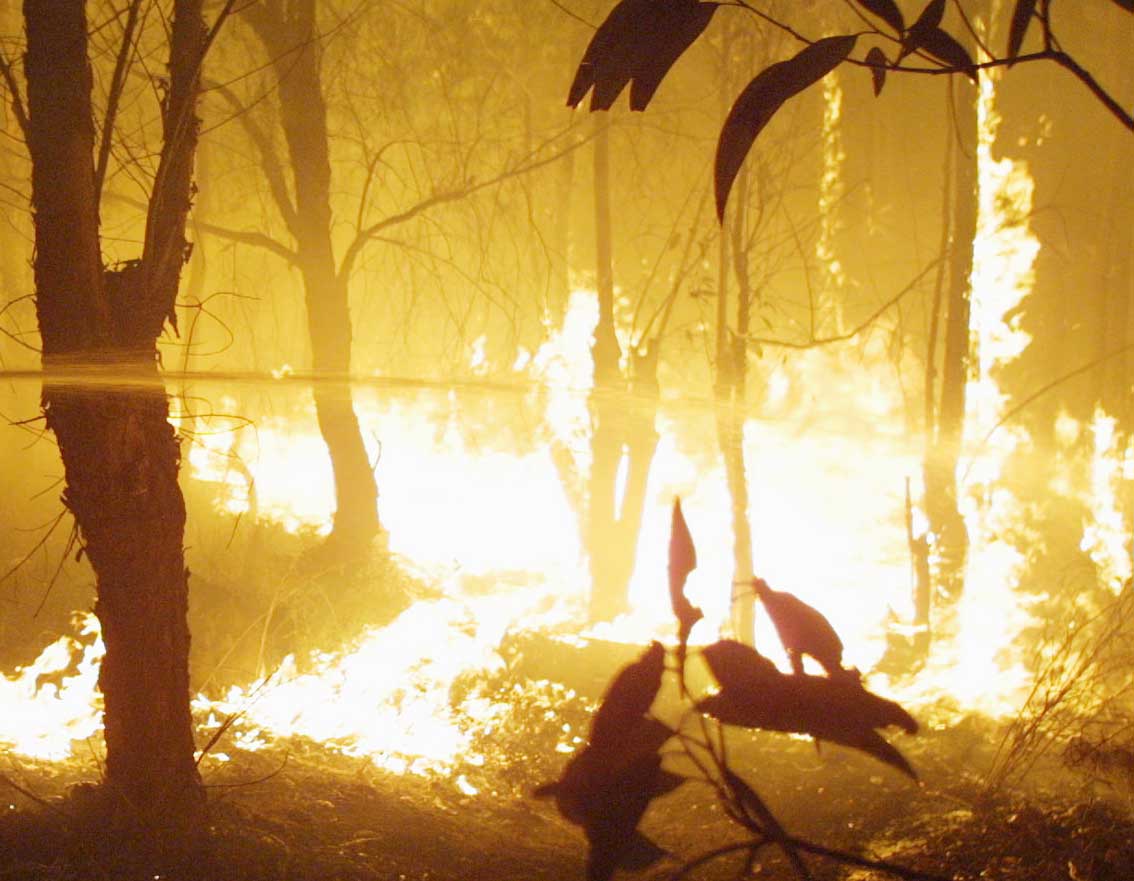 Μεγάλη πυρκαγιά σε δασική έκταση κοντά στο καζίνο του Ρίου