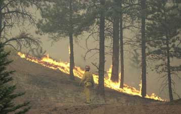 Σε κατάσταση έκτακτης ανάγκης κηρύχθηκε λόγω των πυρκαγιών η Πολιτεία του Κολοράντο