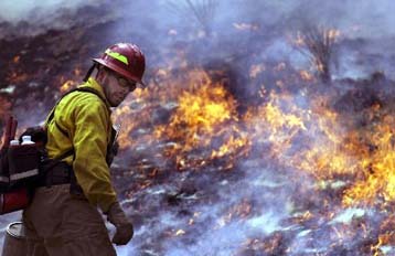 Υπάλληλος της αμερικανικής  Δασικής Υπηρεσίας ευθύνεται για τη φωτιά στο Κολοράντο