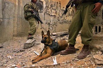 Ανώτατο στέλεχος των Ταξιαρχιών των Μαρτύρων του Αλ Ακσά σκοτώθηκε από ισραηλινά πυρά