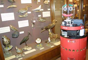 Από ρομπότ για τις επόμενες ημέρες η ξενάγηση στο Μουσείο Φυσική Ιστορίας Κρήτης