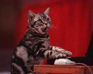 Η επιφάνεια εργασίας στον υπολογιστή σας αποκαλύπτει την προσωπικότητά σας