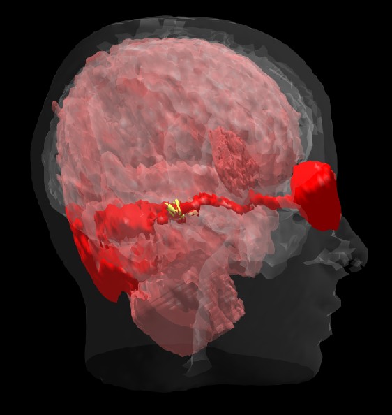 Οι επιστήμονες αποκαλύπτουν το «μυστικό» της διάθεσης για συνεργασία