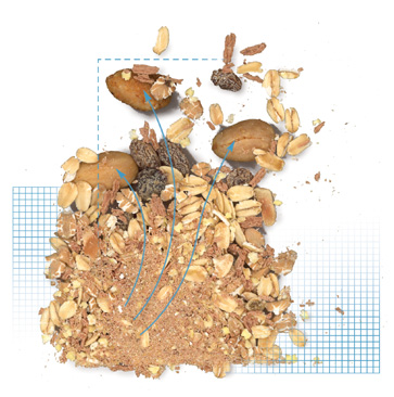 Προσεκτική επιλογή των δημητριακών συνιστούν οι ειδικοί