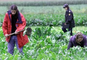 Αυστηρά προληπτικά μέτρα στην ΕΕ για τη διάθεση γενετικά τροποποιημένων τροφίμων
