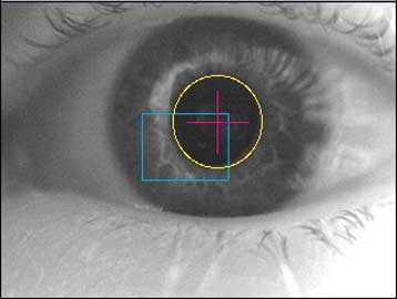 Επιστήμονες μελετούν τον τρόπο με τον οποίο περιεργαζόμαστε οπτικά τον κόσμο