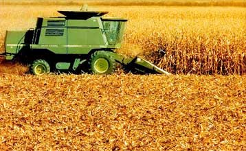 Ακριβότερες κατά 44% οι τιμές των τροφίμων λόγω των επιδοτήσεων της ΕΕ, κατά τον ΟΟΣΑ