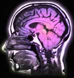 Χημική ουσία του εγκεφάλου ενοχοποιείται για την πίστη σε παραφυσικά φαινόμενα