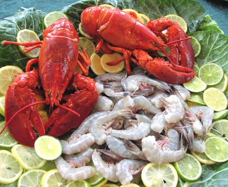 Στο μικροσκόπιο οι θεραπευτικές ιδιότητες πρωτεΐνης που περιέχουν οι αστακοί