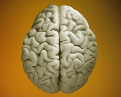 Δομικές ανωμαλίες του εγκεφάλου ευθύνονται για το τραύλισμα