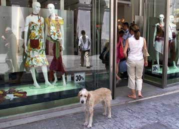 Σημαντικές εισοδηματικές ανισότητες παρατηρεί στην έκθεσή του το ΙΟΒΕ