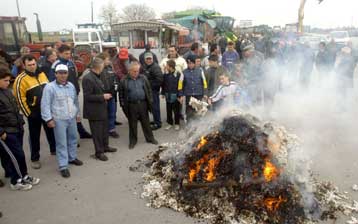 Αντιδρουν βουλευτές του ΠΑΣΟΚ και αγρότες για τις επιδοτήσεις των βαμβακοπαραγωγών